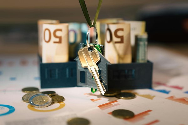 Scopri gli Animali Domestici che Riempiono